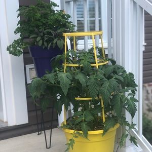 Meet your Posher, Kathleen